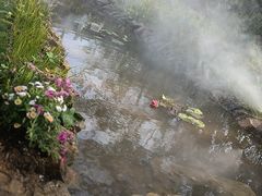 -名花谷生态庄园