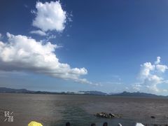 -深圳湾公园(南山区)