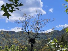 -鹫峰国家森林公园