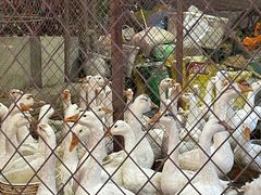 -鱼窝棚柴火铁锅炖(富山屯店)