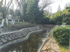 -菊花台公园