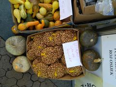 -耶拉契奇总督广场