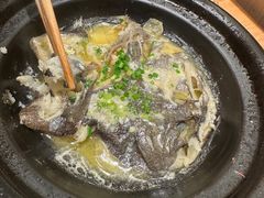 -邹开喜·炭炉鸡煲·海鲜火锅(虹口足球场店)