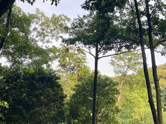 -云溪植物园