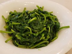 橄榄油炒豆苗-上海老饭店(北京分店)