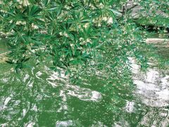 -人民公园(罗湖区)