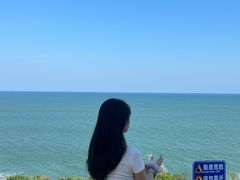 -广东惠东海龟国家级自然保护区