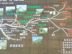 -青峰峡国家森林公园