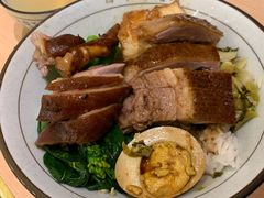 -潮双喜正宗澄海狮头鹅华利路店