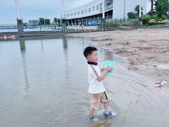 -碧海金沙