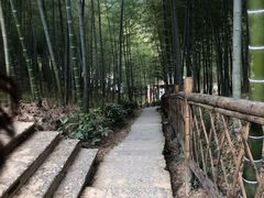 -宁波浙东大竹海景区