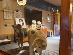 -大江户·温泉洗浴(浑南店)