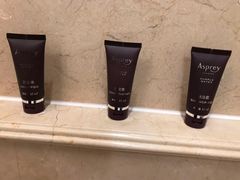 -广州富力丽思卡尔顿酒店