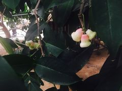 -北戴河集发农业梦想王国