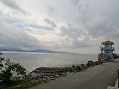 -福田红树林生态公园