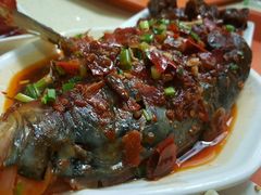 -上海市中医医院(芷江路院区)