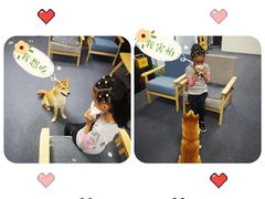 -爱乐蒙艺术·古筝 钢琴 声乐(科华校区)