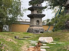 -龙华寺