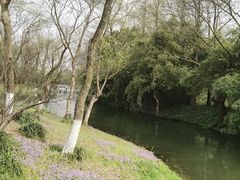 -西溪国家湿地公园