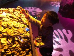 -沈阳海洋探索中心