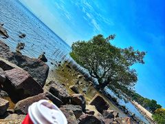 -Again Coffee Roaster(香蜜湖店)