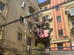 -狗撵鸭(泰山公寓店)