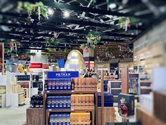 -谢列梅捷沃国际机场