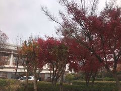 -太湖湾开元名庭大酒店