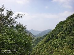 -抱龙峪