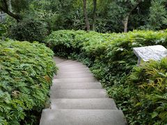 -广州兰圃