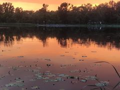 -长春市南湖公园