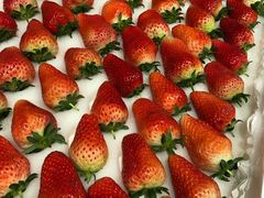 -西郊国际农产品交易中心