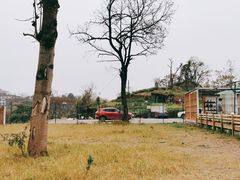 -趣多多宠物公园·宠物训犬学校·宠物寄养
