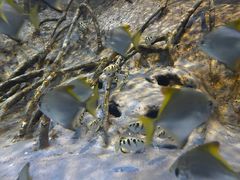 -上海海洋水族馆