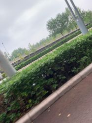 -HEYAN长风荷妍专业脱毛美肤
