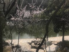 -团结湖公园