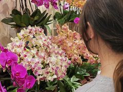 -双季花艺园艺市场(浦东店)