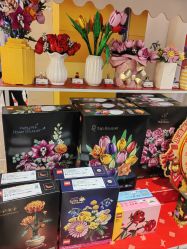 -乐高授权专卖店(华采天地店)