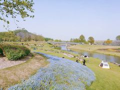 -上海辰山植物园