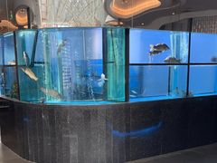 -王家渡火锅店(棕榈泉店)