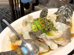 青花椒蒸龙胆鱼-闽和南(深圳万象城店)