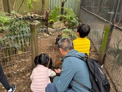 -费瑟代尔野生动物园