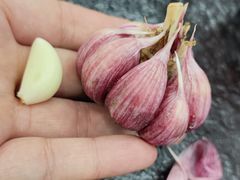 -撒拉人家.酸菜牦牛肉火锅