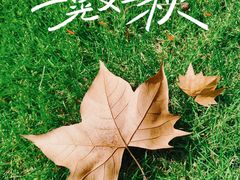 -上海滨江森林公园
