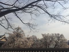 -景福宫