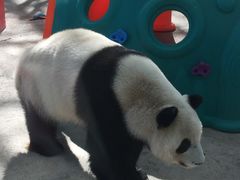 -鄂尔多斯野生动物园