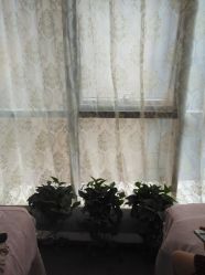 -谜秀专业半永久纹眉纹绣美瞳线洗眉