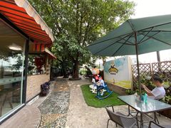 -柴犬高等学院·狗咖·柴犬售卖·宠物训练