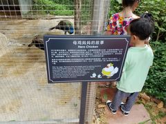 -厦门悦华酒店