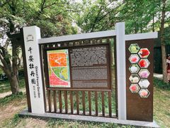 -洛阳市隋唐城遗址植物园